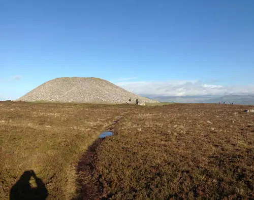 System.Dynamic.ExpandoObject