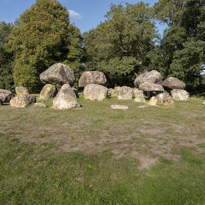 1763307286050_resized_Tjeerd_hunebed_d15_Loon-1