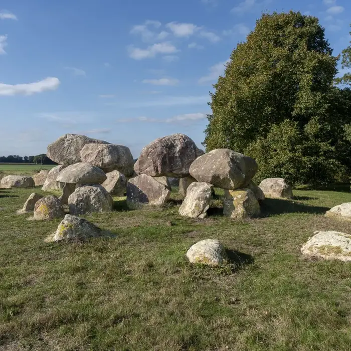 1763307286050_resized_Tjeerd_hunebed_d15_Loon-2