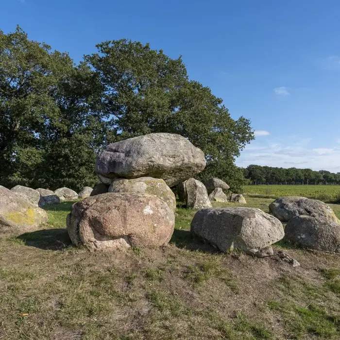 1763307286050_resized_Tjeerd_hunebed_d15_Loon-3-2