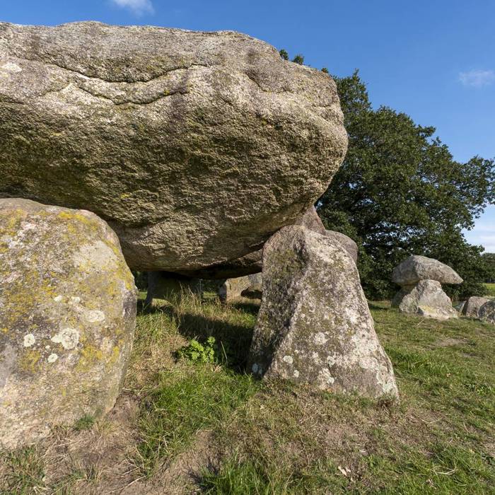 1763307286050_resized_Tjeerd_hunebed_d15_Loon-4