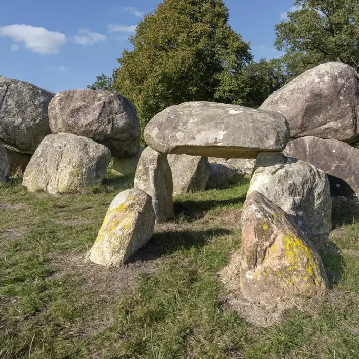 1763307286050_resized_Tjeerd_hunebed_d15_Loon-5