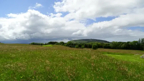 Carrowmore Megalithic Cemetery