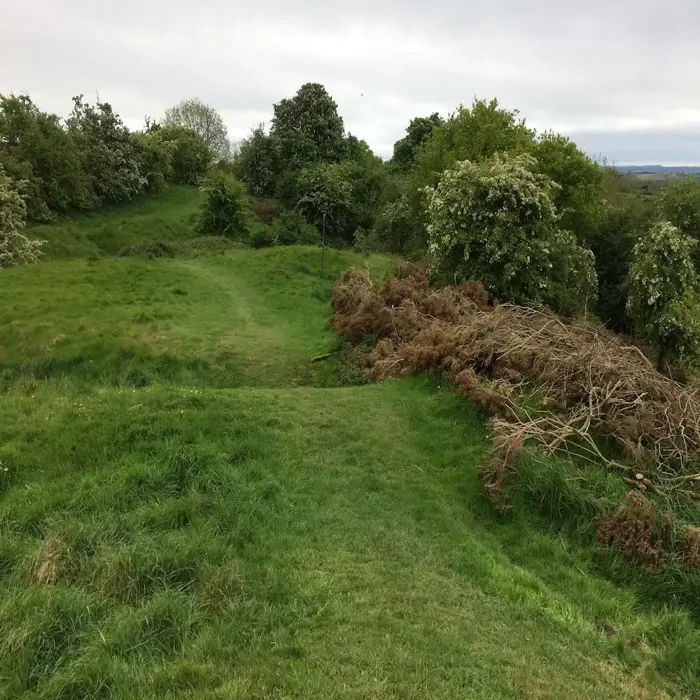 Rand_van_hill_of_tara