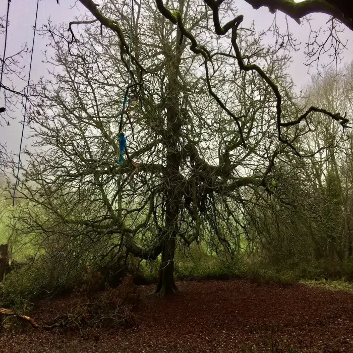 spooky_bos_hill_of_tara