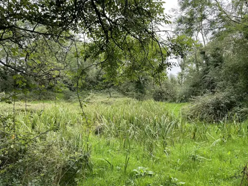 Lisnalurg Neolithic Henge