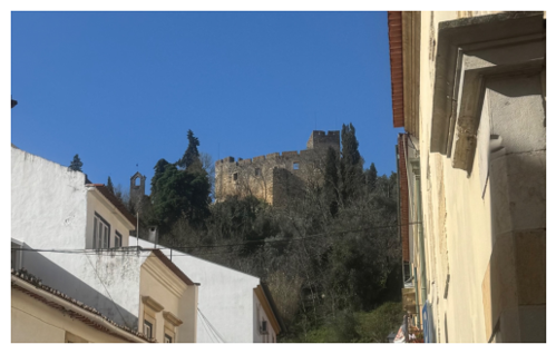 Tomar Castle