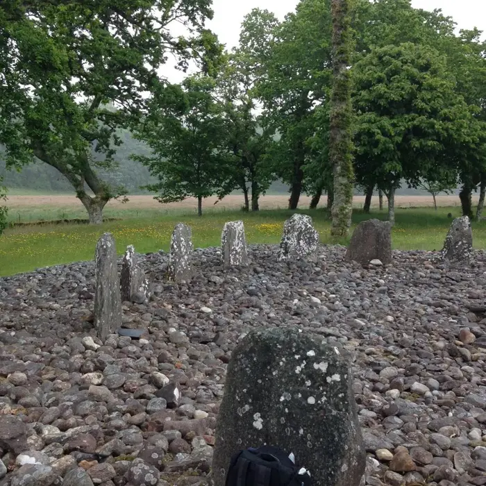 Kilmartin_standing_stones_trees