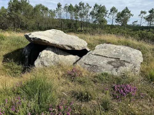 Dolmen Arca da Piosa