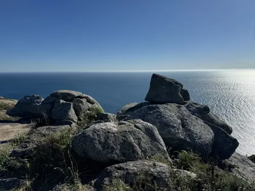 System.Dynamic.ExpandoObject