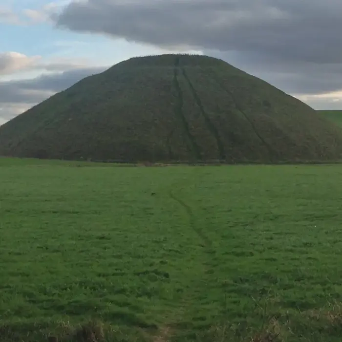 Silbury_hill_meadow_female