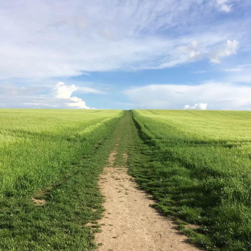 Avebury_landscape_west_kenneth