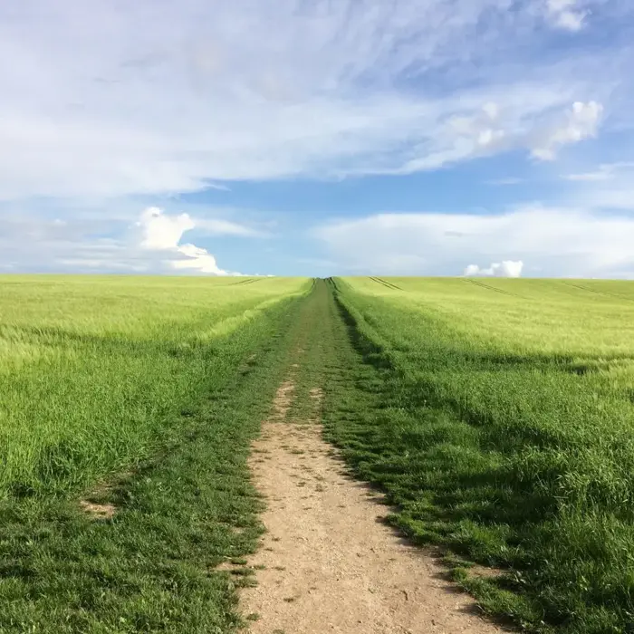 Avebury_landscape_west_kenneth
