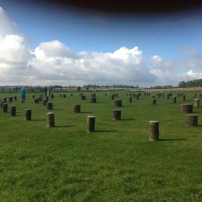 Woodhenge-grass