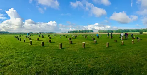 Woodhenge 