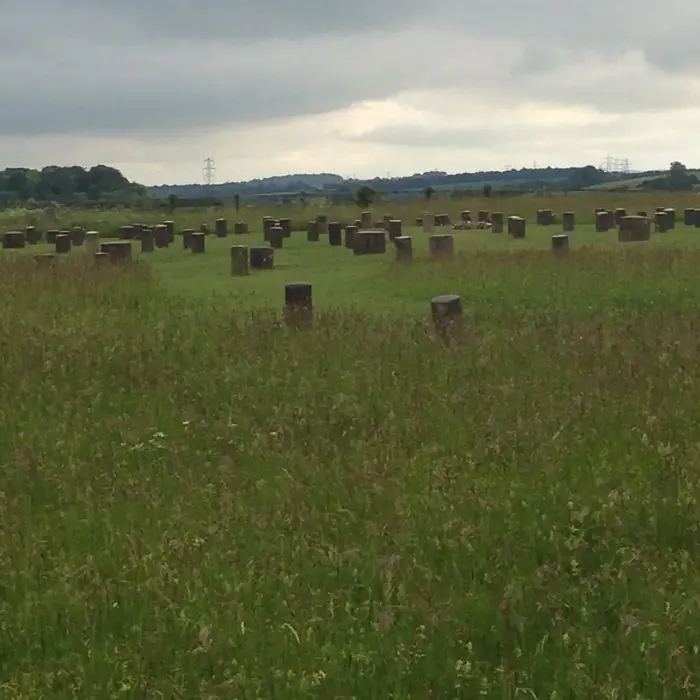 Woodhenge_Durrington