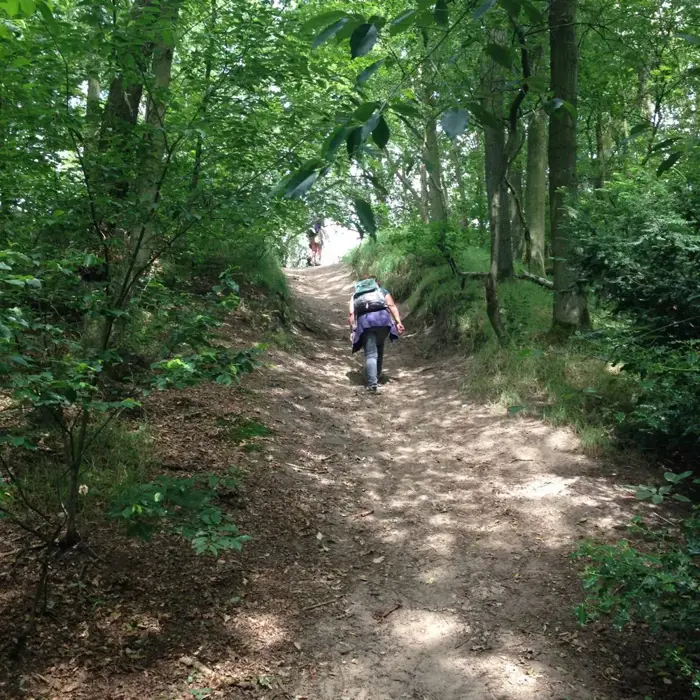 sijsjesberg_beklimmen