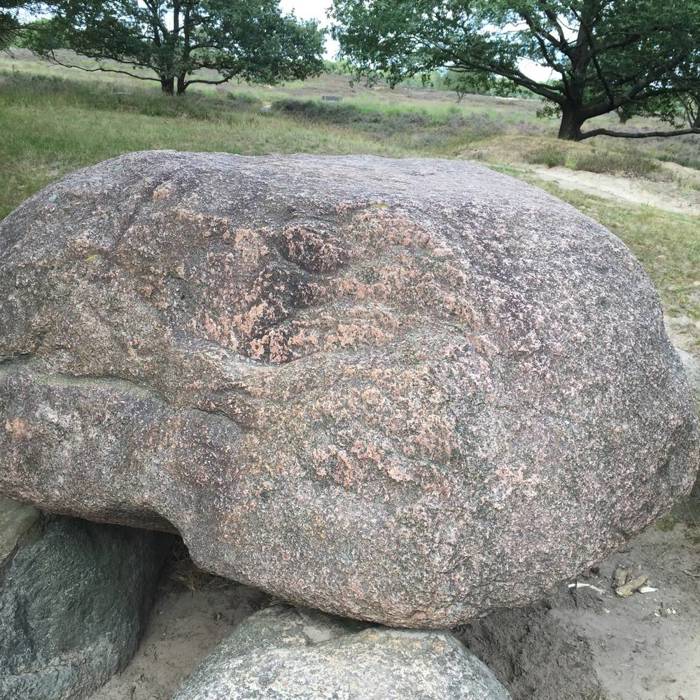 Hunebed_Bos_zwerfkei