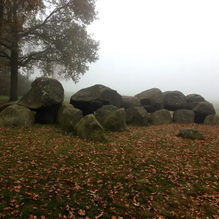 Hunebed_d14_bosrand_2