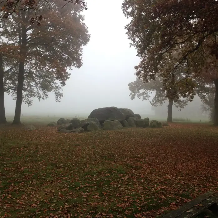 Hunebed_bomen_herfst
