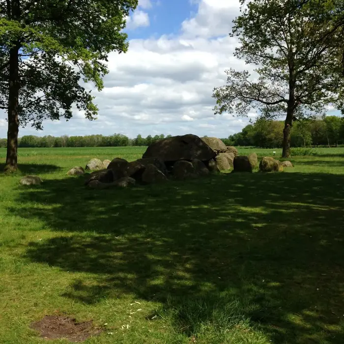 Hunebed_Eext_bosrand