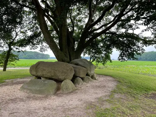 Hunebedden Bronneger, D21 en D22 