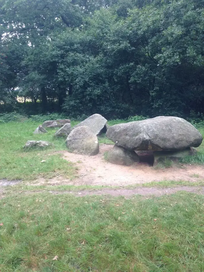 Drie_hunebedden_in_bos