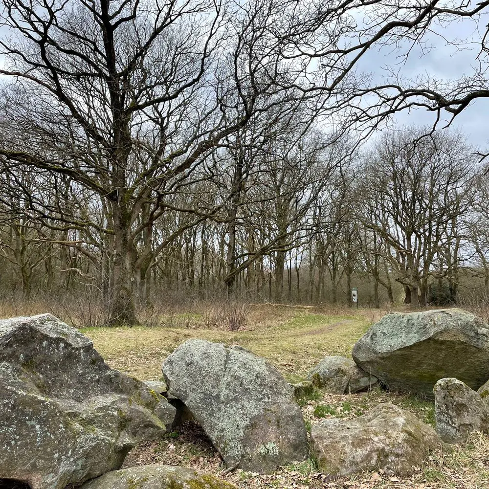 Hunebed_bosrand_valthe