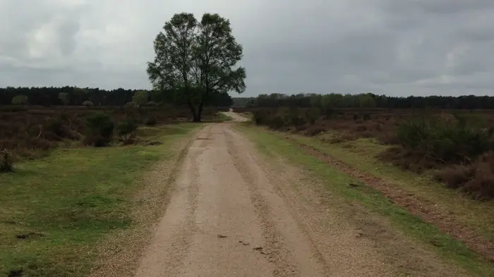 Doodwegen_naar_janskerkhof