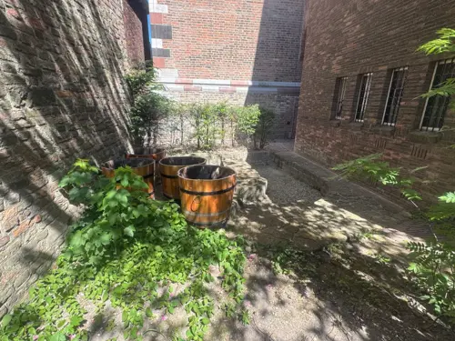 Leycentrum Dom Utrecht