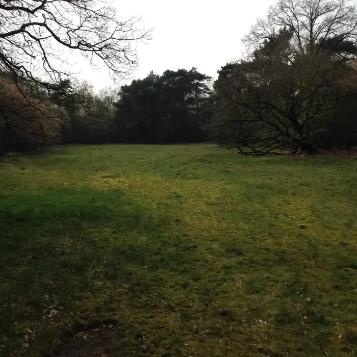 Op_de_hotspot_luttenberg