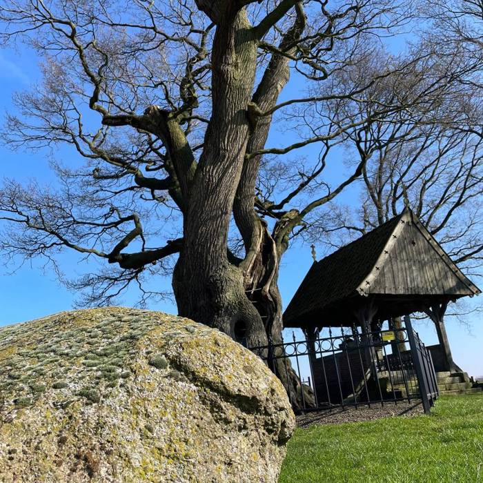 wat_een_constellatie