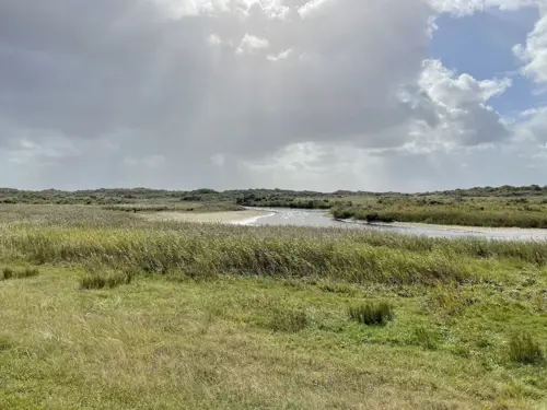 De Kwelder van Schiermonnikoog