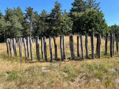 Solitaire Grafheuvel Regte Heide