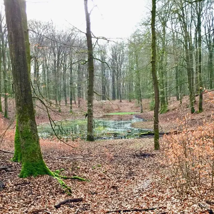 Solsche_gat_veluwe_Drie_ermelo_speulderbos