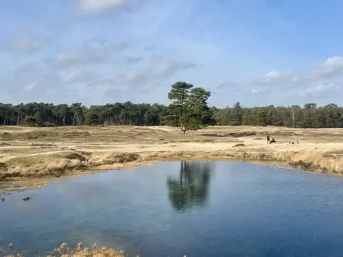 Vennetje Heidestein - Zeist