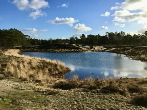 Vennetje ’t Heihuis - Driebergen
