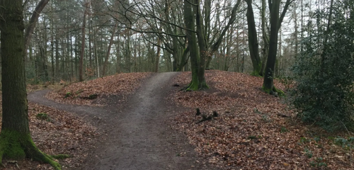 Grafheuvel Doolhoflaan - Ede