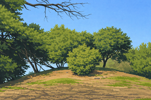 Tumulibos - Grafheuvels Kampsheide