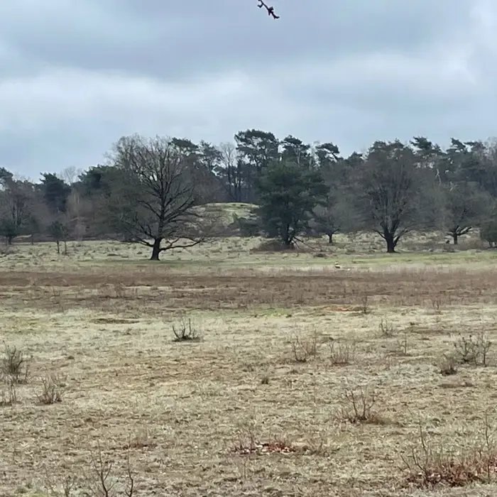 De_Borkeld_Esker_glaciaal