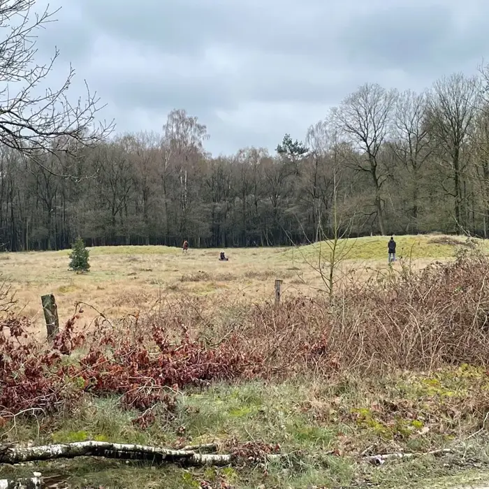 grafheuvels_overijssel