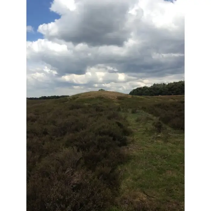 Westerheide_grafheuvel