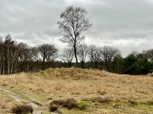 Toren en grafheuvels Muziekbos
