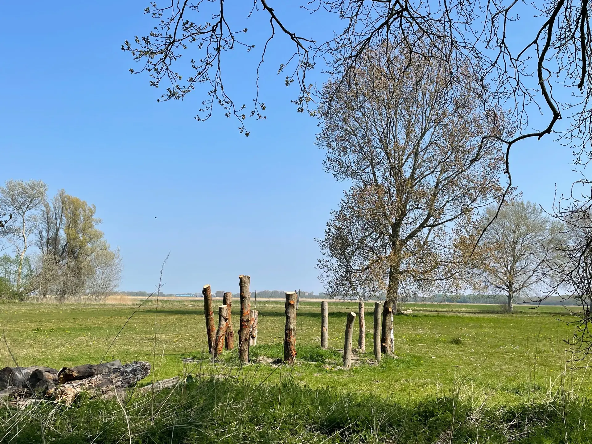 Heiloo_houten_palen