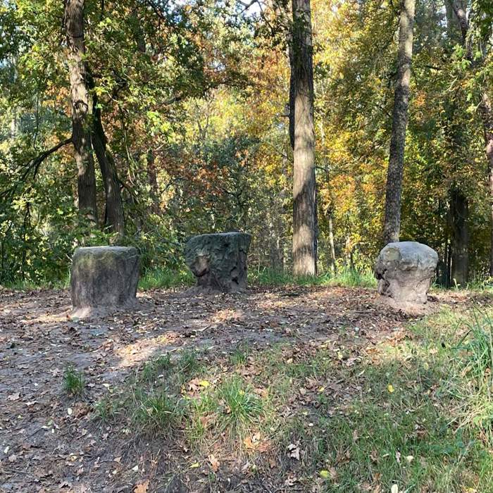 Bos_krachtplek_kernhem