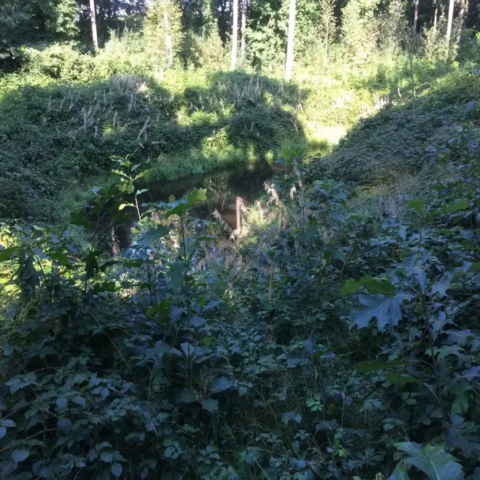 Vijver-kernhem_suske_en_wiske