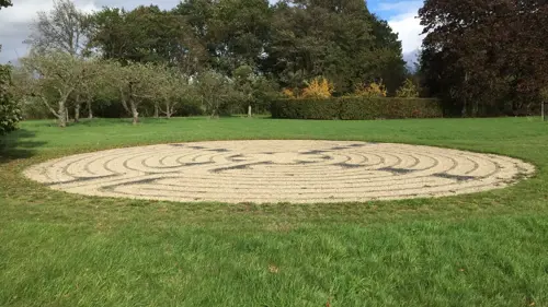 System.Dynamic.ExpandoObject