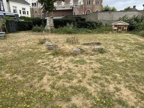 Tuin, steencirkel en plataan