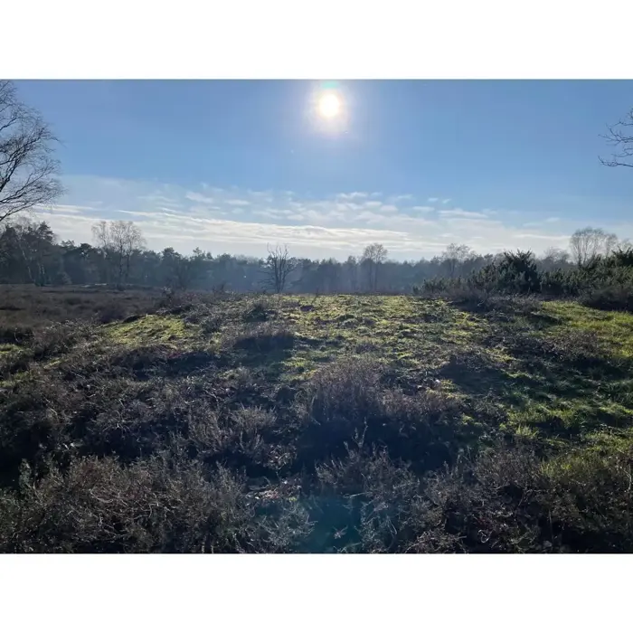 Grafheuvel_Vasse_zon