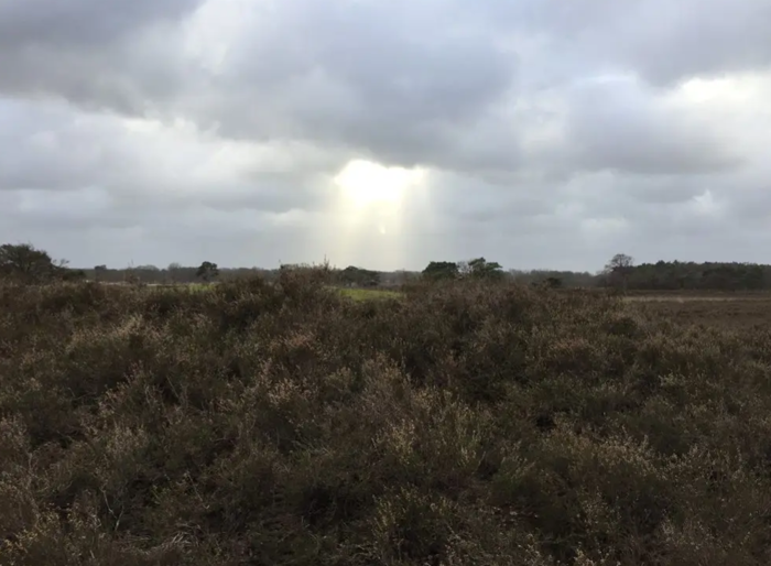 Zuiderheide_hemelse_straal